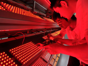 Lighting Product Development in China